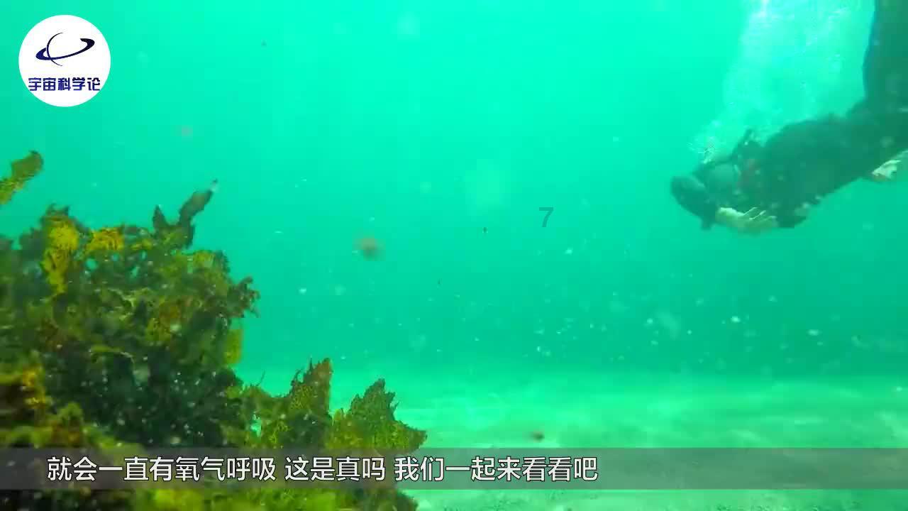 侠客前传