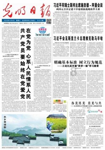 营救小猫头鹰