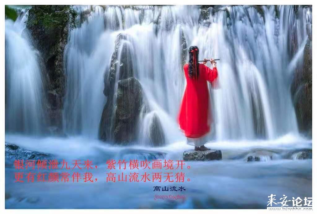 沙皮狗逃离